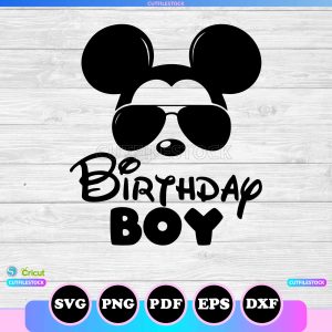 birthday boy mouse ears and sunglasses head