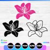 lily flowers svg bundle
