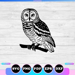 barred owl svg