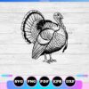 wild turkey svg